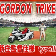 ★GORDON TRIKE★新庄監督仕様★typeⅢ★即乗れます...