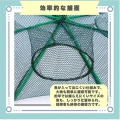 蟹釣り網
の画像