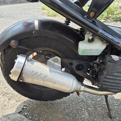 ホンダ　ズーマー　低走行　オイル交換済　千葉県流山市　全国陸送可能です！の画像