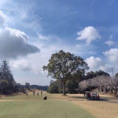 稲敷、行方、潮来方面で水曜、木曜、金曜（平日）ラウンド - スポーツ