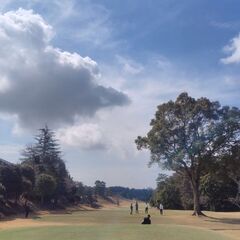 稲敷、行方、潮来方面で水曜、木曜、金曜（平日）ラウンド − 茨城県