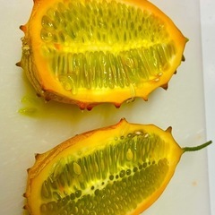 キワーノの画像