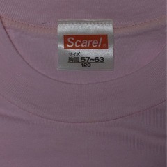 Tシャツの画像