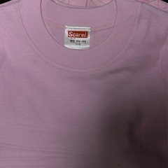 Tシャツの画像