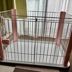 犬　ゲージの画像