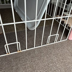 犬　ゲージの画像