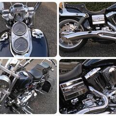 【鹿児島】2008 FXD1580 ﾊｰﾚｰﾀﾞﾋﾞｯﾄﾞｿﾝ ﾀﾞｲﾅ ﾛｰﾗｲﾀﾞｰ 程度良好の画像