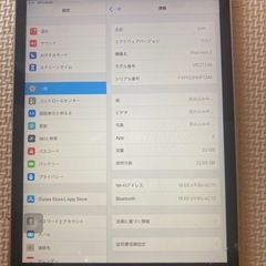 Ipad mini 2