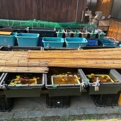 メダカ活容器差し上げます。の画像