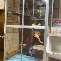 室内温室　ガラス製の画像
