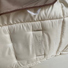 電動ハイローチェアの画像