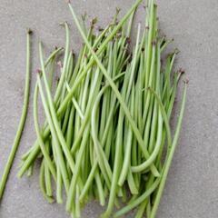 今日限定！朝採り★　ニラ200g　芋づる400gの画像