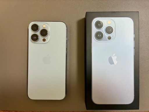 iPhone 13Pro 【水没品】