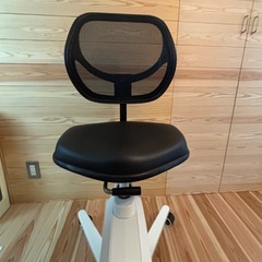 フィットネスバイク/バイクチェア Sit2Go FC211の画像