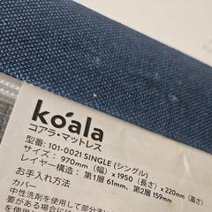koala コアラ マトリックス シングルの画像