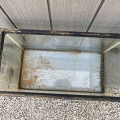 水槽60cm 2個セットの画像
