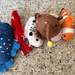 海の魚シリーズ②の画像