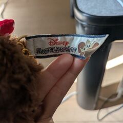 ディズニーユニベアの画像