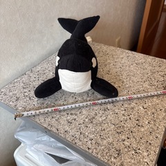 シャチのぬいぐるみの画像