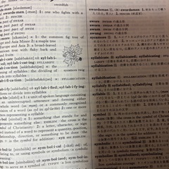 ウェブスター　英英和辞典　ブリタニカの画像