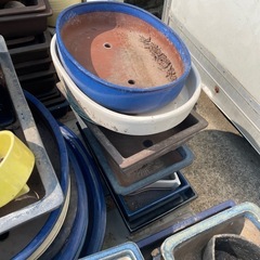 無料！ 水盤 盆栽鉢 中古品 大量 何個でも無料 ガーデニング 園芸 庭 庭園 植物 フラワー 花 の画像