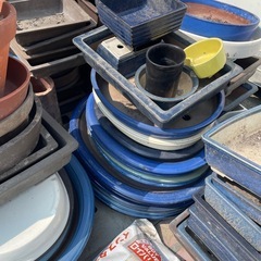 無料！ 水盤 盆栽鉢 中古品 大量 何個でも無料 ガーデニング 園芸 庭 庭園 植物 フラワー 花 の画像
