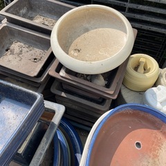 無料！ 水盤 盆栽鉢 中古品 大量 何個でも無料 ガーデニング 園芸 庭 庭園 植物 フラワー 花 の画像