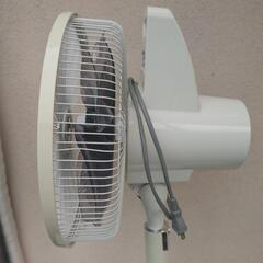 シャープ プラズマクラスター 扇風機 とても静かです 色々な機能がついていますの画像