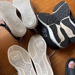 子供　ジュニア　靴　スニーカーの画像