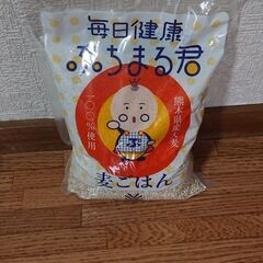 もち麦の画像