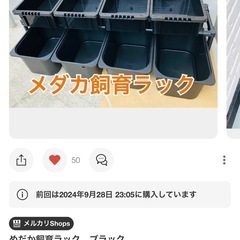 【取引確定
】メダカ大型容器3点（60Lタライ、トロ舟、40Lトロ舟 ）＋ラックの画像