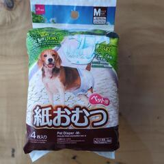 犬用　紙おむつの画像