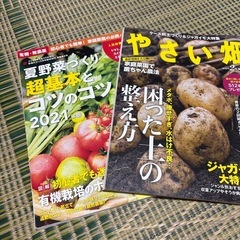 やさい畑、夏野菜づくり超基本とコツのコツの画像