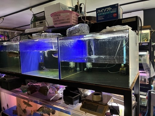 アクリル水槽　3本 水槽用品