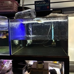 アクリル水槽　3本 水槽用品の画像