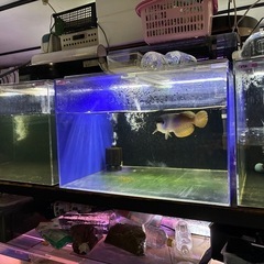アクリル水槽　3本 水槽用品の画像