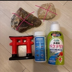 水質テスト　バクテリア等の画像