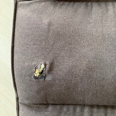 【商談中】1人用座椅子の画像
