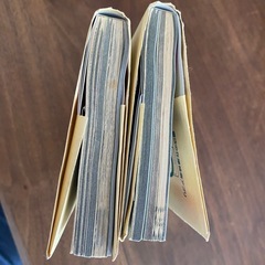 鬼滅の刃公式ファンブック2冊の画像