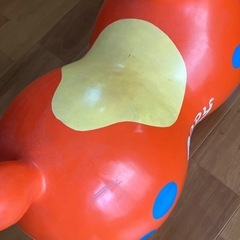 ロディの画像