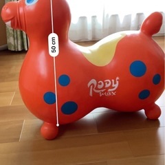 ロディの画像