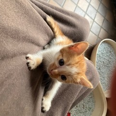 家の前で産まれていた子たち