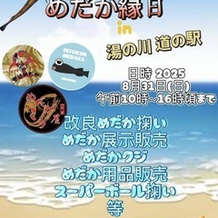 めだか　メダカ　めだか販売　めだかすくい　タモ