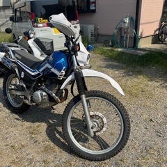 セロー２２５WE  ローン可の画像