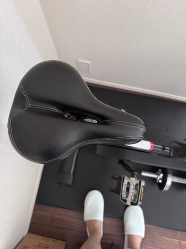 TOP STAR マグネット式スピンバイク WU880L（取扱説明書・マット付属）