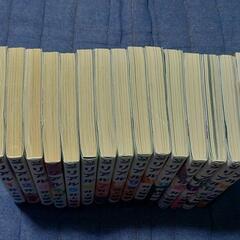 リアル(ｽﾗﾑﾀﾞﾝｸ作者)全15冊セットの画像