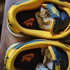 Nike Dunk Low "Championship Goldenrod"の画像