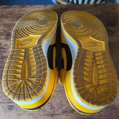 Nike Dunk Low "Championship Goldenrod"の画像