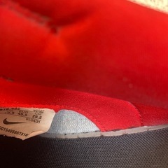 NIKE29.5の画像