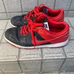 NIKE29.5の画像